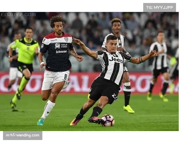 意甲前11轮现场观赛人次超350万 上座率创近三十年新高